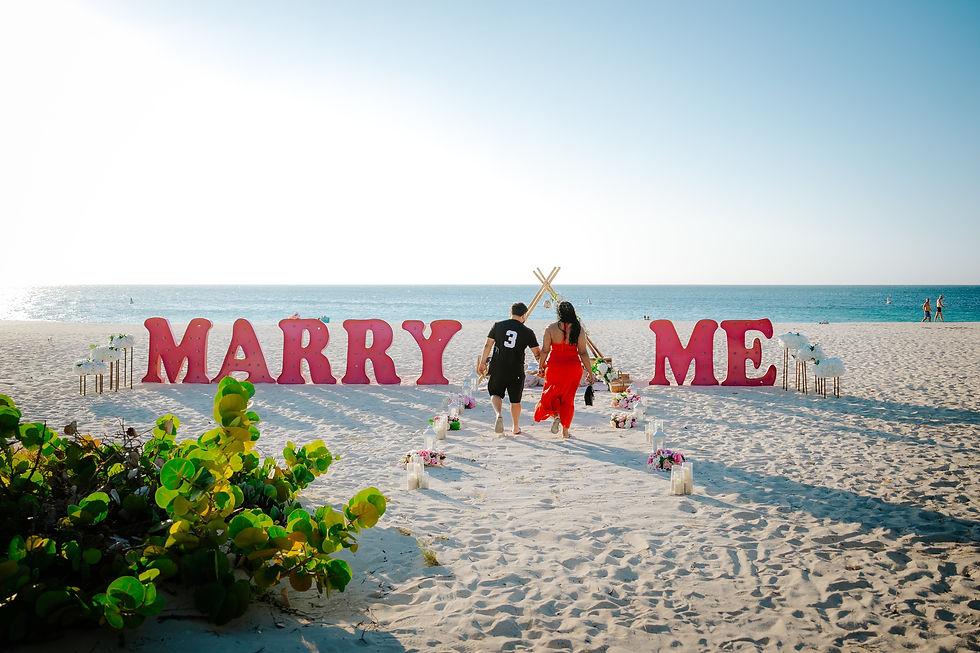 Picnic Aruba proposal planner setup