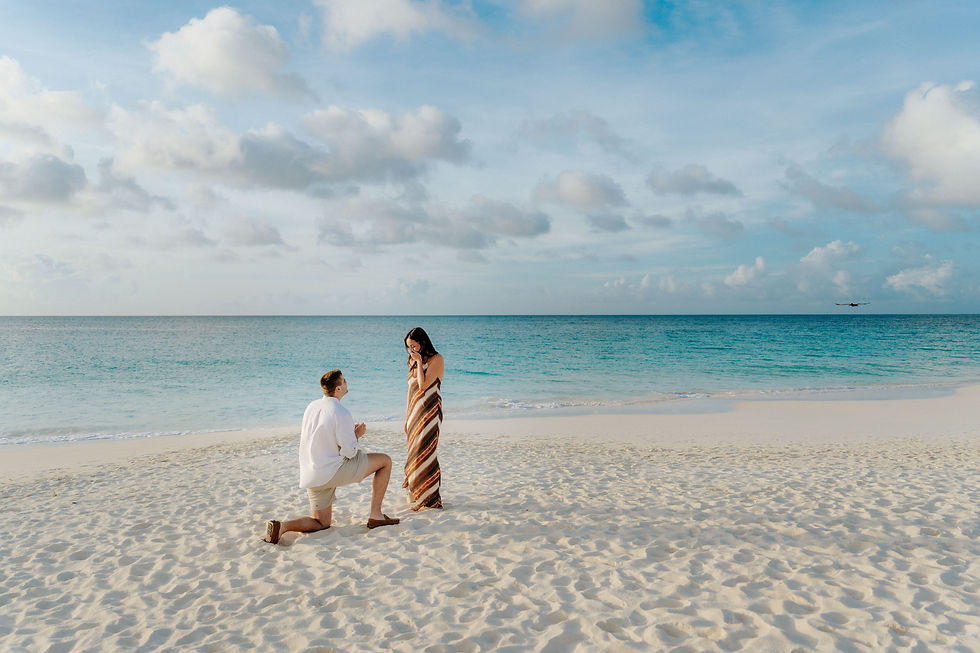 Eagle Beach Aruba proposal during golden hour