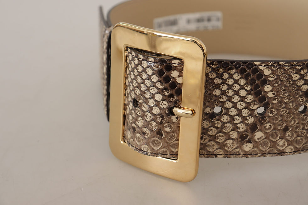 Thumbnail: Dolce & Gabbana Brown Exotic Wide Waist Leather Gold Metal Buckle Belt