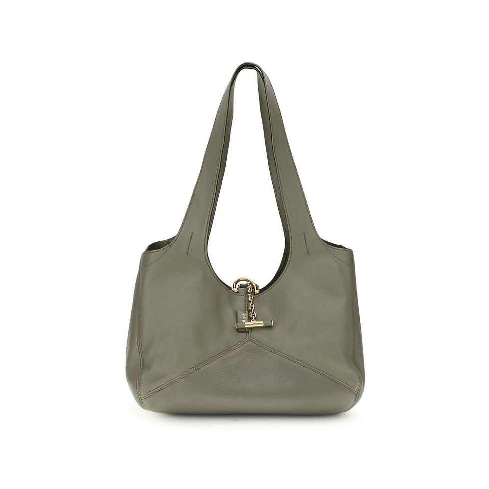 Chloé Bicolor Calf Leather Bos Taurus Shoulder Bag