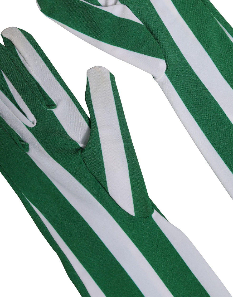 Thumbnail: Dolce & Gabbana Green White Stripes Nylon Elbow Length Women Gloves