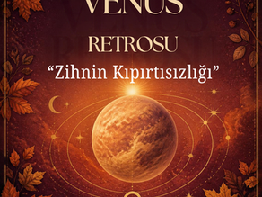 ZİHNİN KIPIRTISIZLIĞI
VENÜS RETROSU