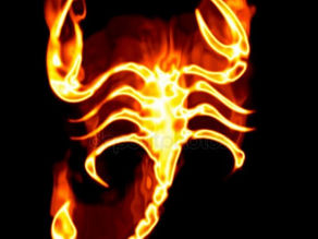 13 KASIM 2023 AKREP BURCUNDA YENİ AY