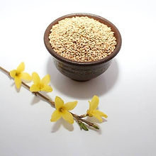 46860490_307255366555468_519620181439073