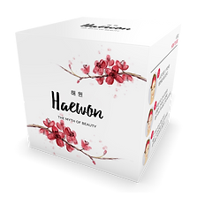 HAEWONmockup3d.png