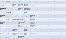 tableau recap soin.jpg