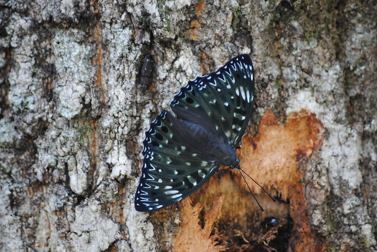 DSC_0189.JPG
