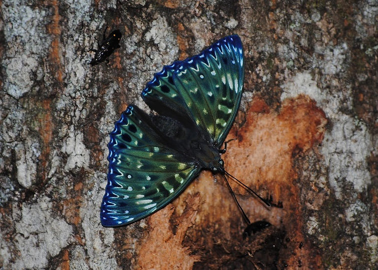 DSC_0186.JPG