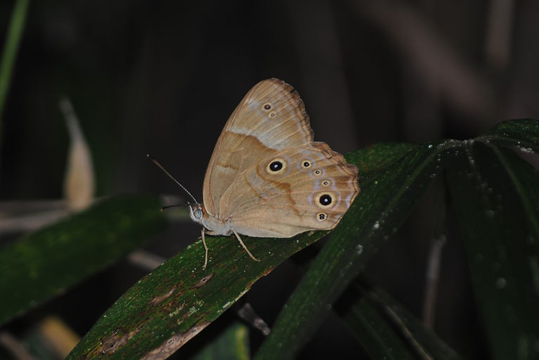 DSC_0072.JPG