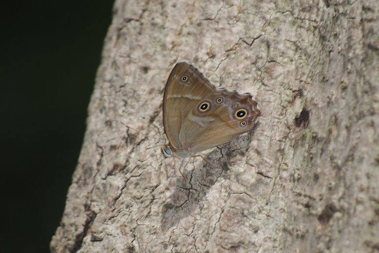 DSC_0905.JPG