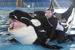 Animal Cruelty