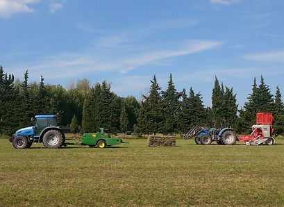 20140906_160307.jpg