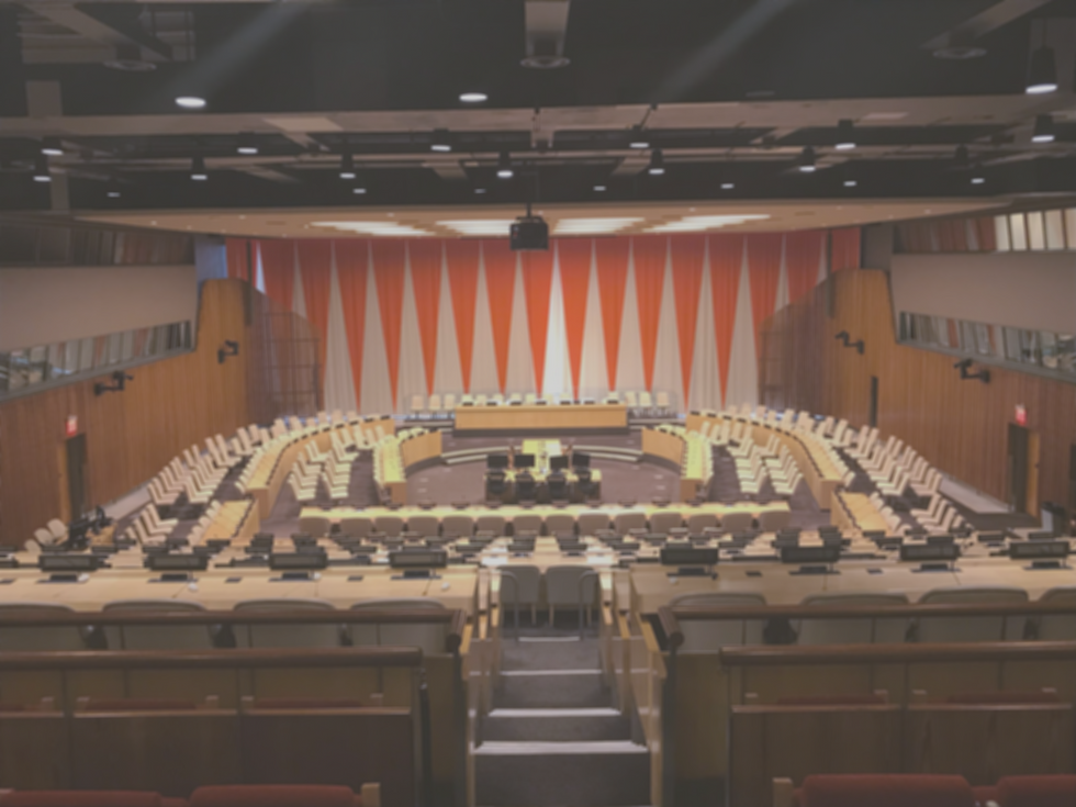 ecosoc.jpg