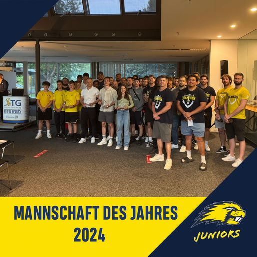 Mannschaft des Jahres 2024
