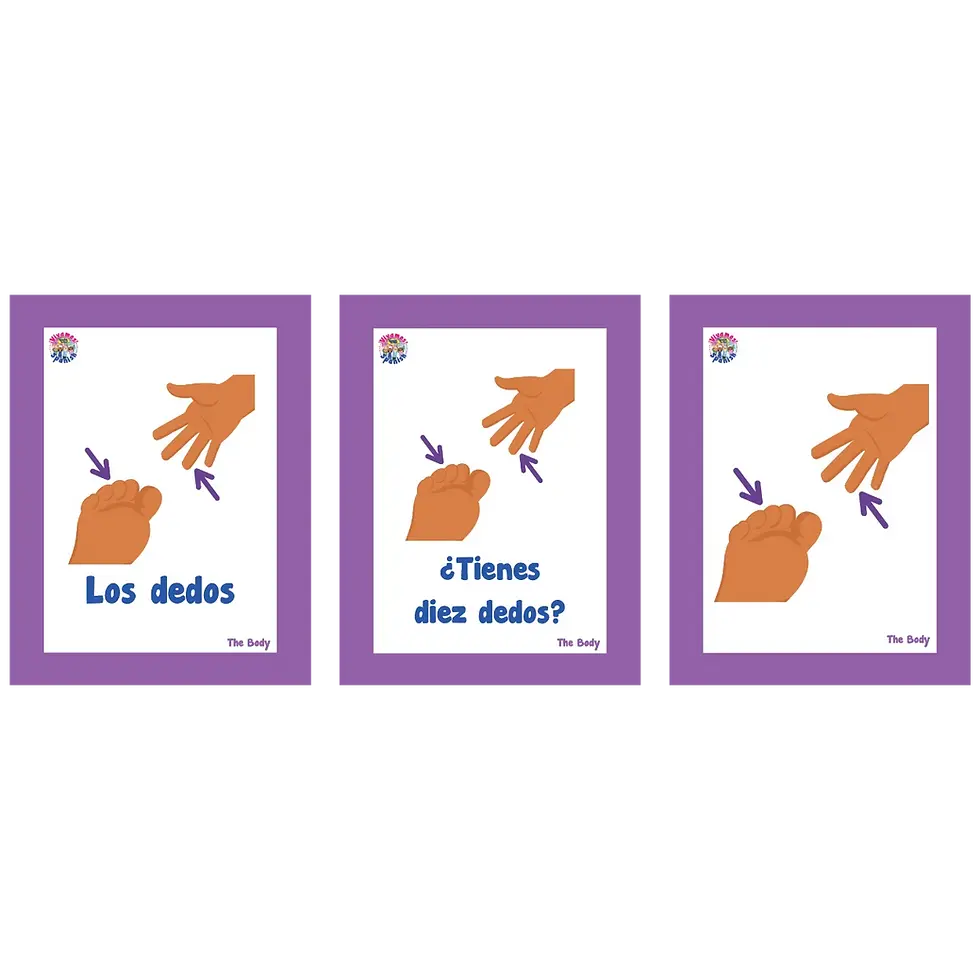 Thumbnail: Illustrated Spanish vocabulary flashcards for teaching elementary students