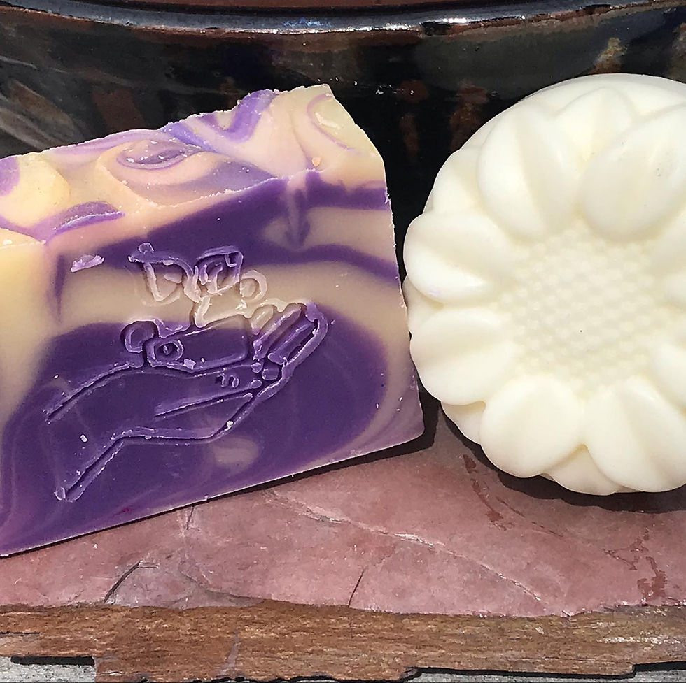 Thumbnail: Shampoo & Body Bars