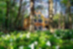 Surf Cottage Harbor Springs Vacation Rental Home