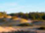Lake Michigan sand dunes just north of Cross Village