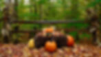 Cedar Lake Lodge for Fall Color Tours!
