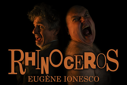 Rhinoceros , Play
