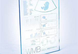 Womb 2.0 , Play , Theater