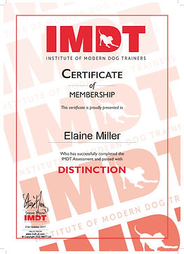 IMDT DISTINCTION Elaine Miller.jpg