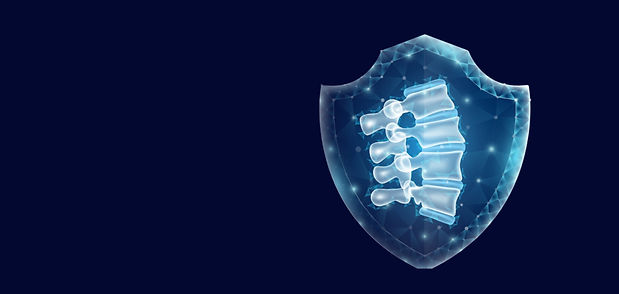 Support spinal health and alignment with chiropractic care at New York Spinal Correction