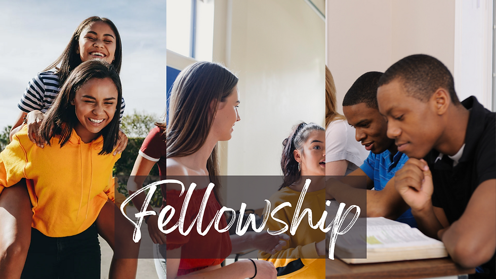 Plug-in Mondays (Campus Meet)