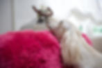 DSC_3709 Titel.jpg