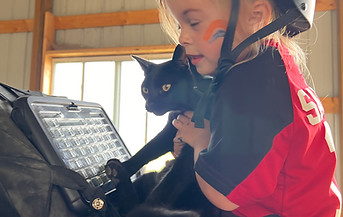 cats in speech therapy