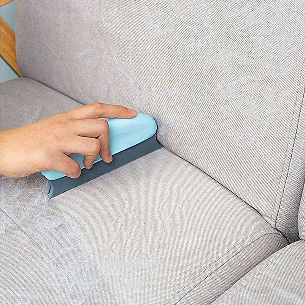 Reusable Pet Hair Remover Brush for Furniture & Fabrics