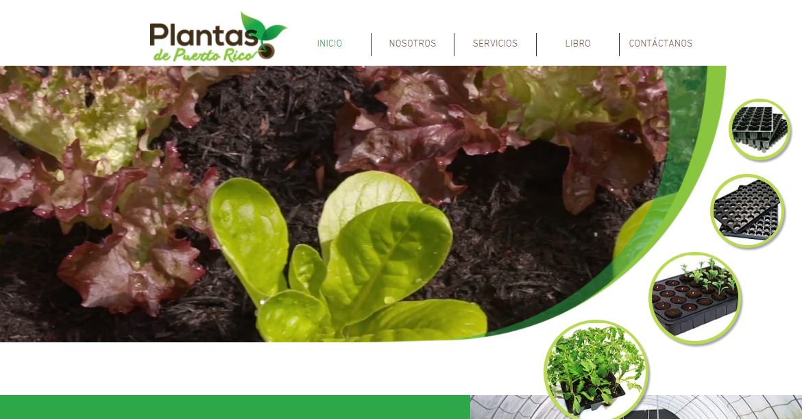 Plantas de Puerto Rico