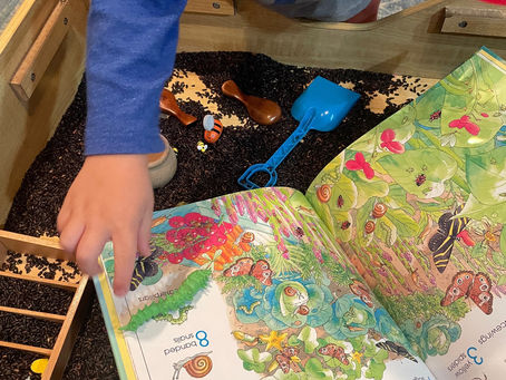 Spr𝐈𝐍g-𝐒𝐄𝐂𝐓 Sensory Play 🐛🐞🪲🐜