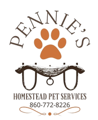 9c694963-f1d6-422b-b413-34d643c367ce_removalai_preview.png