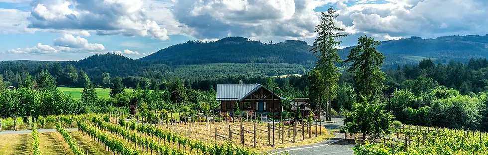 Blue-Grouse-Winery.webp