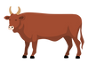 cattle