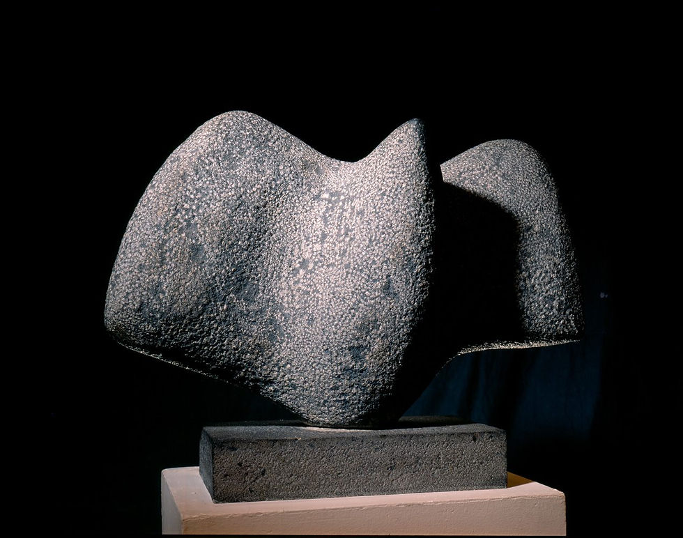- Marina Núñez del Prado, "Cóndor", 1964. Escultura de granito. Colección Banco de la República de Colombia.