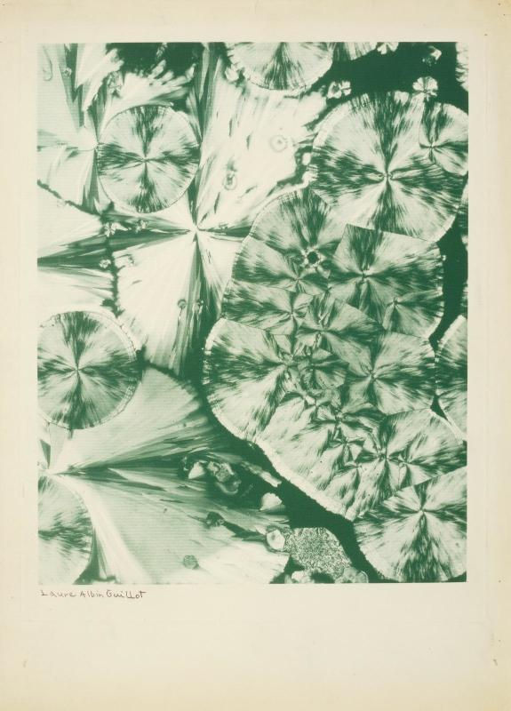 - Laure Albin-Guillot, "Brazilin", c. 1931. Centro Pompidou, París.