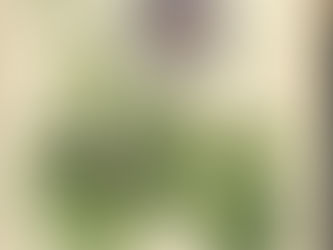 Anne Kingsbury Wollstonecraft (1781-1828)