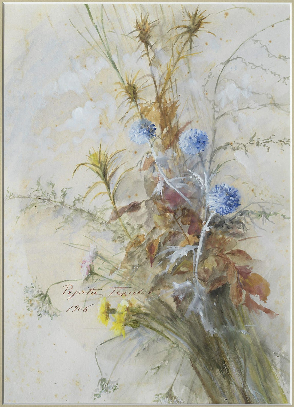 - Pepita Teixidor, "Cardos", 1906. Acuarela sobre papel, 48 x 37 cm. Colección particular. Fotografía- FotoGasull.
