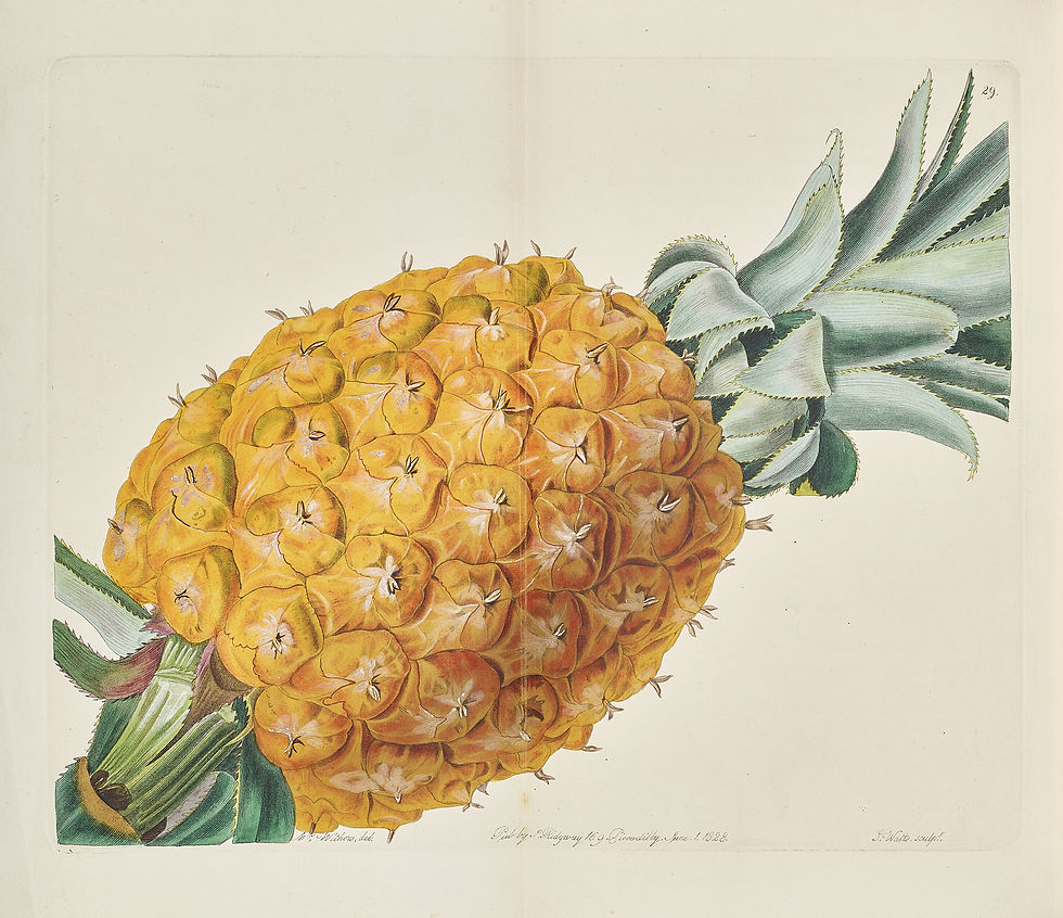 1The Pomological Magazine John Lindley, 1828-1830