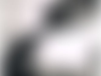 María Belén Morales (1928-2016)