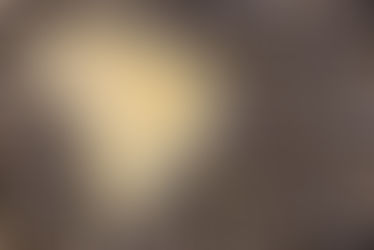 Brezilya'dan Ürün Satın Alın