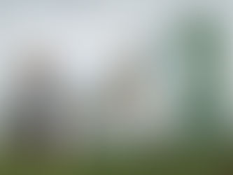 Oceania – The Dark Horse, 2014 – James Napier Robertson (Nova Zelândia)