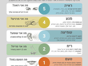 המדריך המלא לחוסן משפחתי: איך להחזיר את השליטה כשהקרקע רועדת