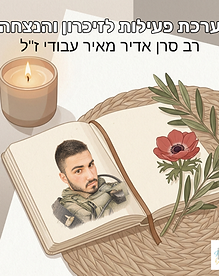 תמונה ערכת פעילות לאתר.png