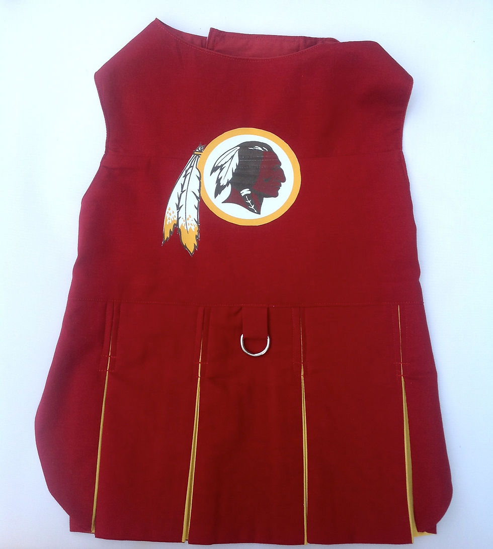 Thumbnail: Design YOUR OWN Cheerleader Dog Dress