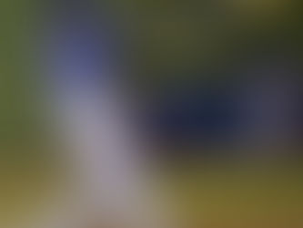 Dominan Toa Alta y Ceiba