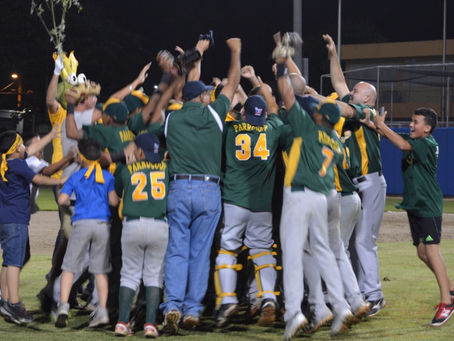 Ganduleros renuevan su cuerpo monticular