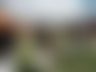 Un boleto por definir para la postemporada de la Coliceba